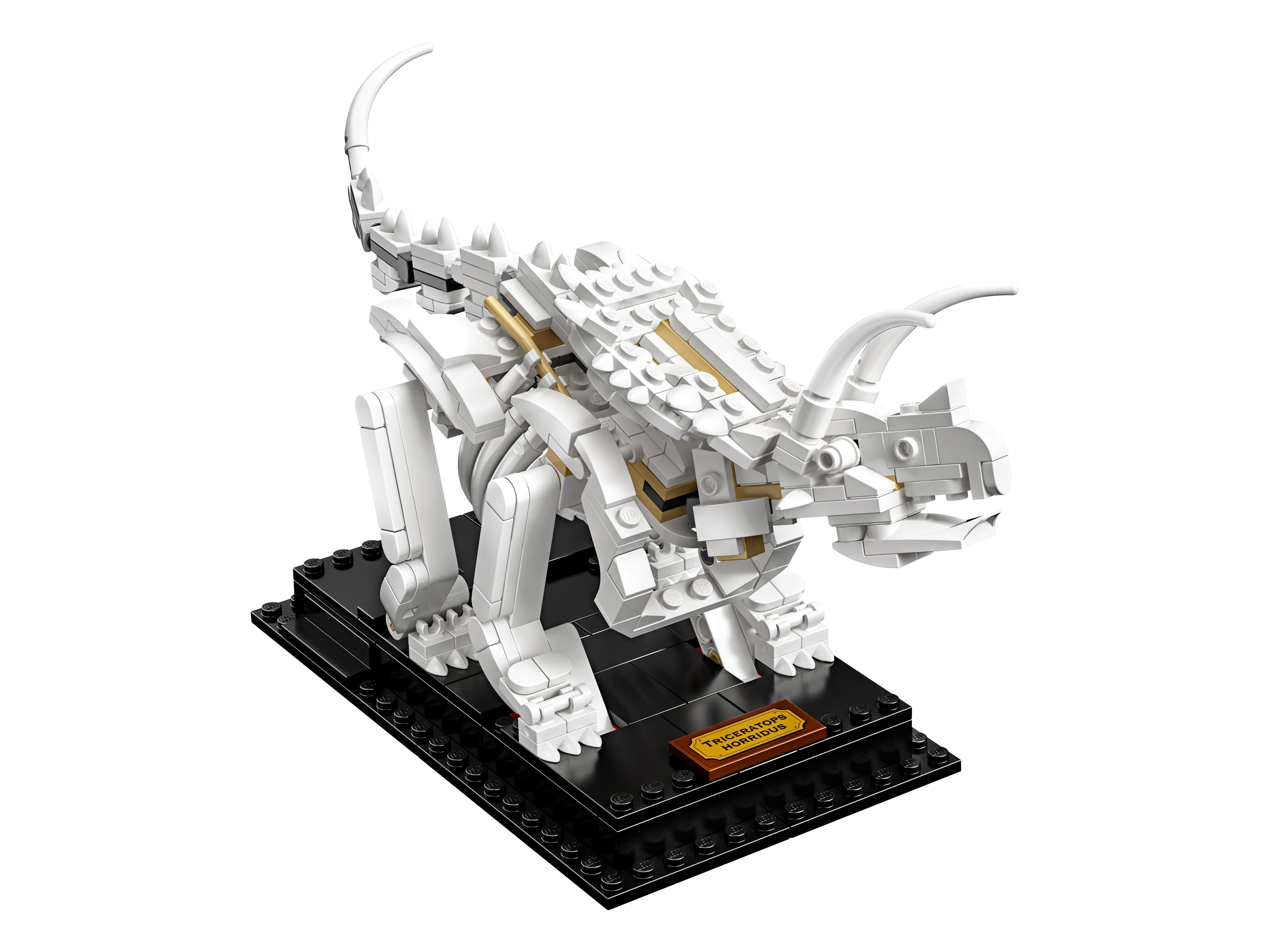 LEGO Ideas 21320 - Кости динозавра